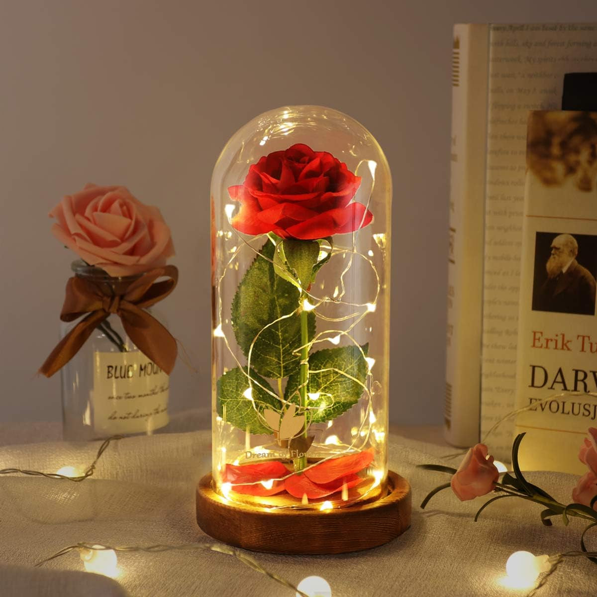 Beauty and the Beast Rose, Christmas Rose Gifts for Women, Birthday Gifts for Mom, Light up Rose in Glass Dome, Eternal Rose Flower Gifts for Mum, Mother'S Day Rose Gifts for Her